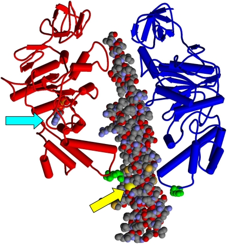 FIGURE 1.