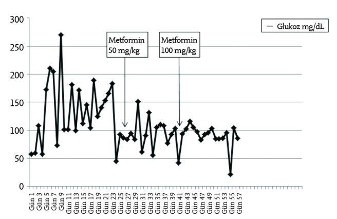 Graphic 1