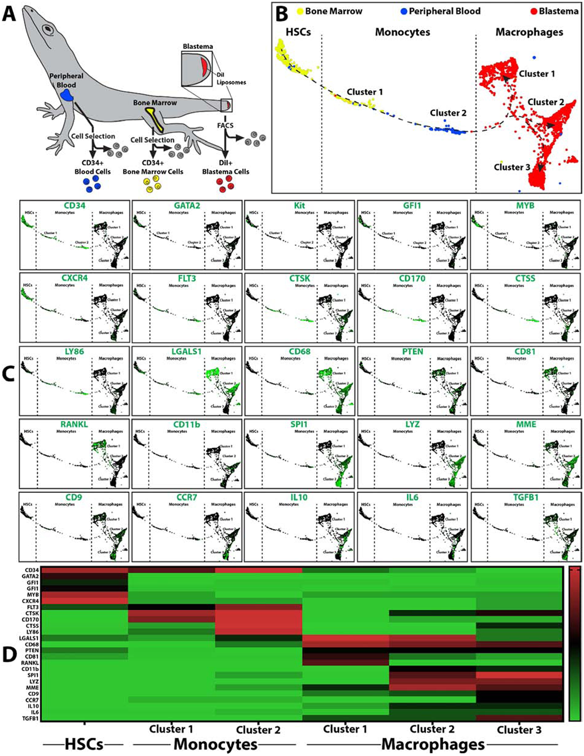 Figure 7: