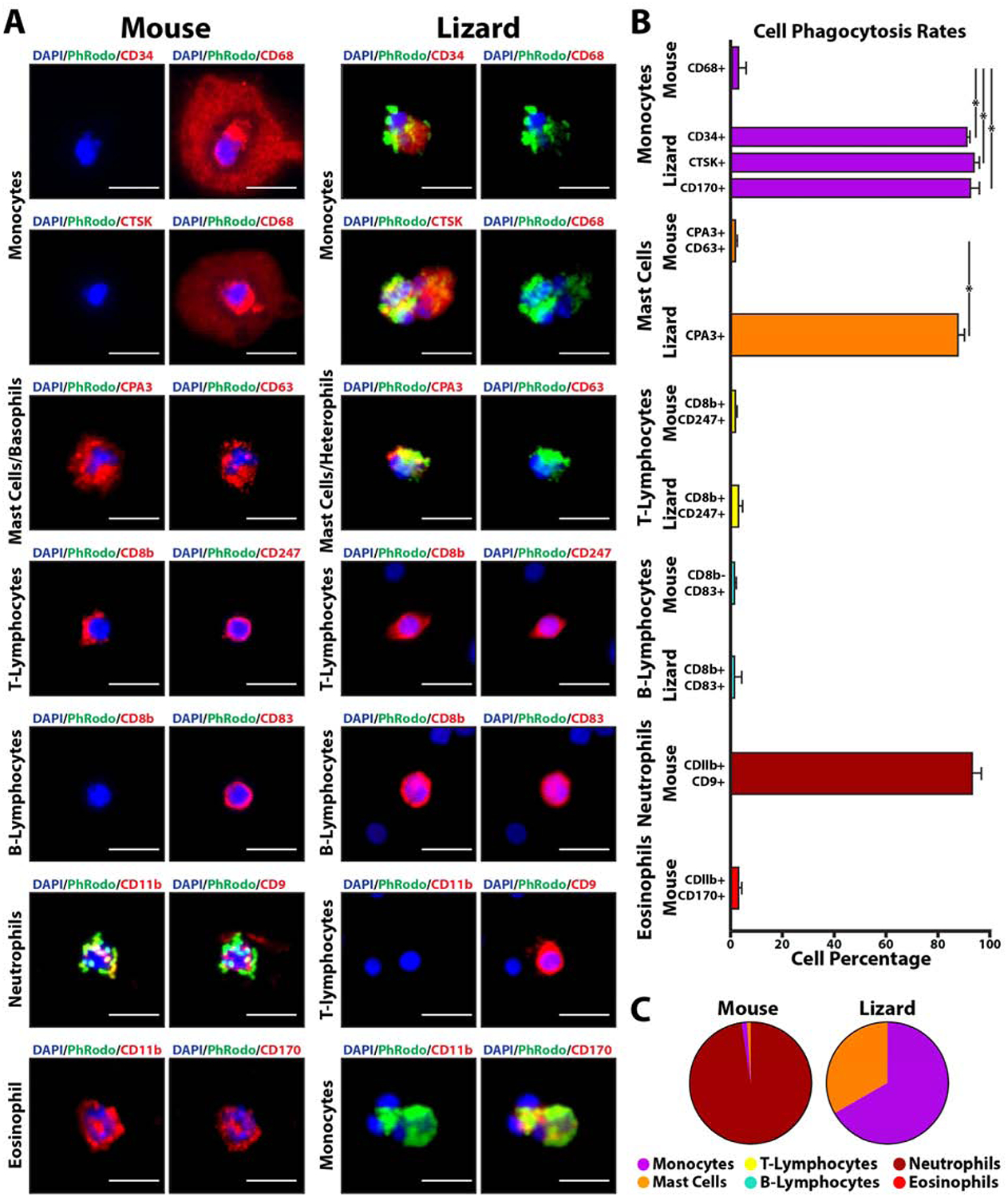 Figure 4: