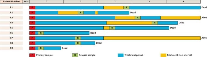 FIGURE 1