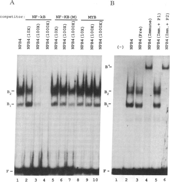 graphic file with name pnas01055-0202-a.jpg