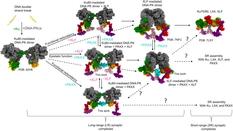 Fig. 6.