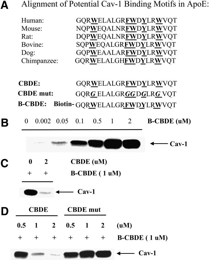 Fig. 5.