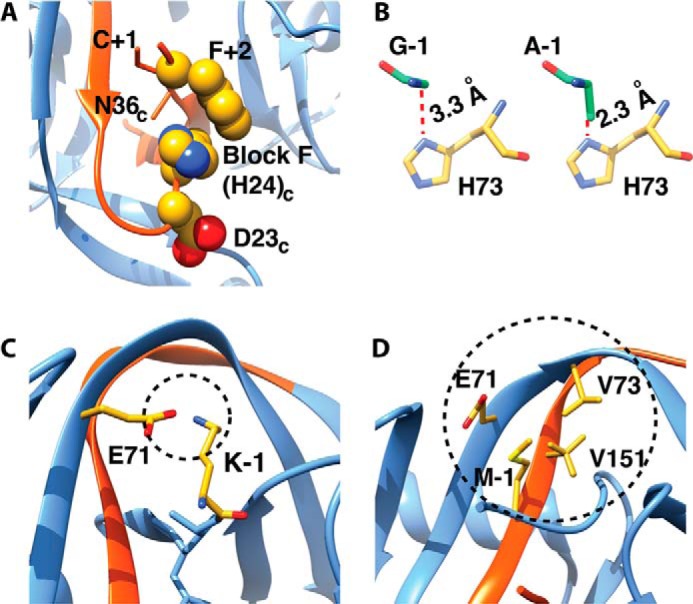 FIGURE 3.