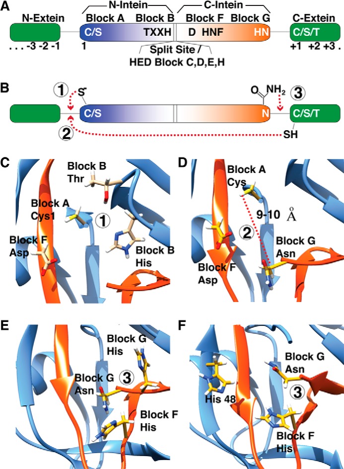 FIGURE 2.