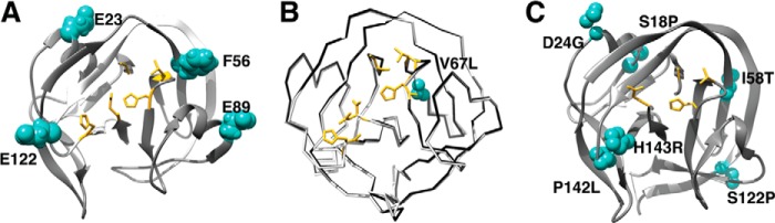 FIGURE 4.