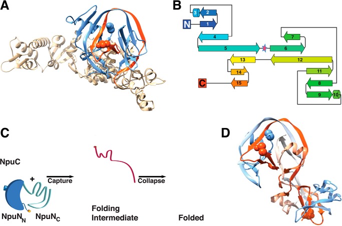 FIGURE 1.