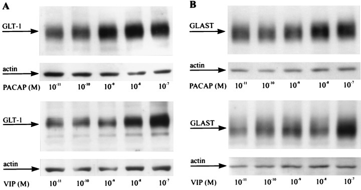 Fig. 9.