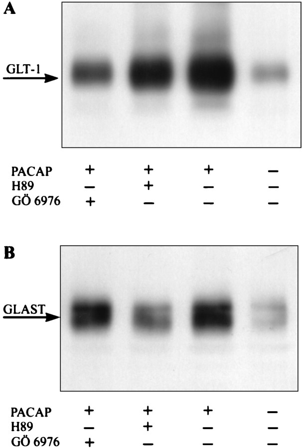 Fig. 10.