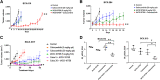 Figure 4. Targeting AXL1-expressing TNBC with combination of cabozantinib and IACS-10759. A and B, Two AXL1 high TNBC PDXs (A, BCX.010; B, BCX.084) were treated with cabozantinib (20 mg/kg, orally, daily) and IACS-10759 (5 mg/kg, orally, 5 days on 2 days off), which prolonged tumor stability compared with either single agent alone. C, A low AXL1-expressing PDX that is relatively more sensitive to IACS-10759 was treated with cabozantinib (20 or 5 mg/kg, orally, daily) and IACS-10759 (5 mg/kg, orally, 5 days on 2 days off) and both combinations resulted in tumor regression from baseline. Data shown mean ±SEM. D, In the PI3KCA-mutant PDX (BCX.010), the combination of cabozantinib and IACS-10759 significantly inhibited PI3K/mTOR pathway to a greater extent than either single agent alone as evidenced by decreased phosphorylation of ribosomal protein S6 on RPPA. *, P < 0.05; **, P < 0.01.
