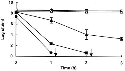 FIG. 1