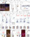 Fig. 3: