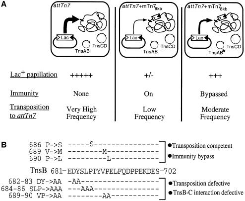 graphic file with name cdg551f1.jpg