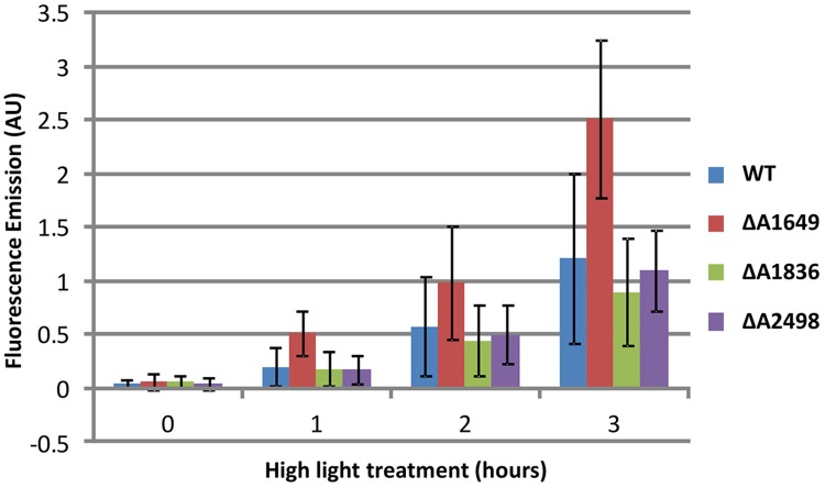 FIGURE 3