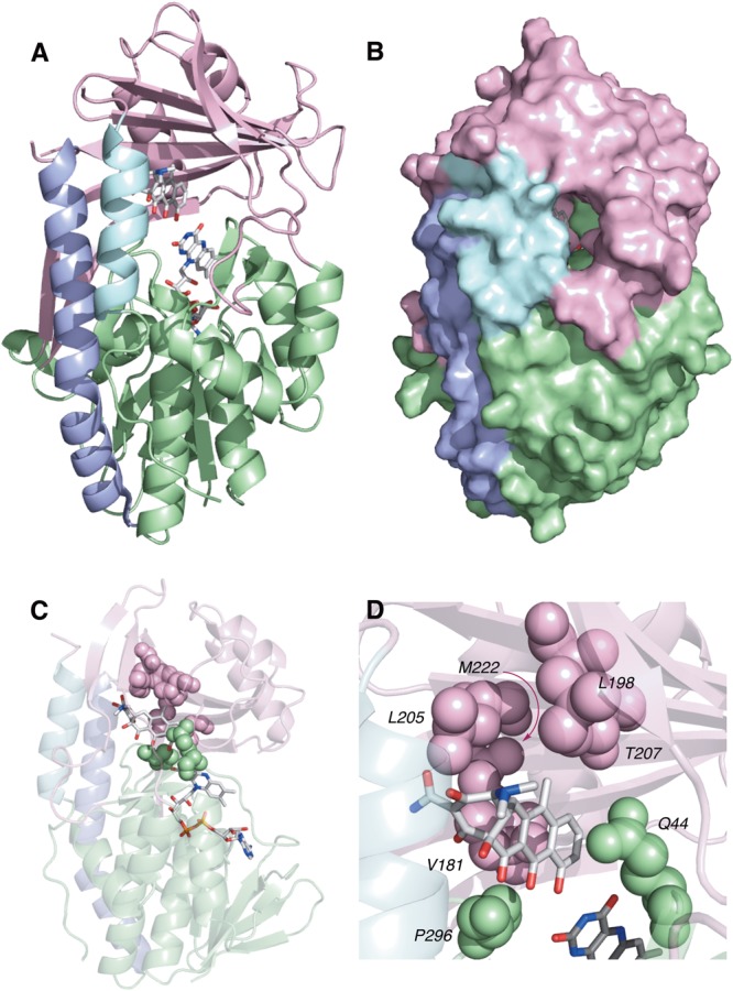 FIGURE 12