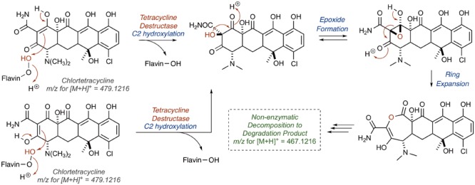 FIGURE 10