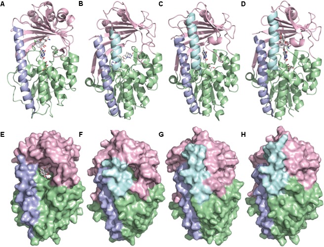 FIGURE 4