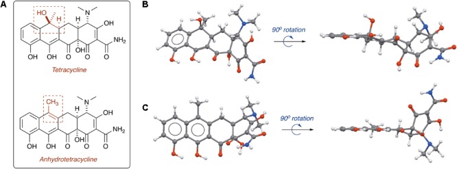 FIGURE 11