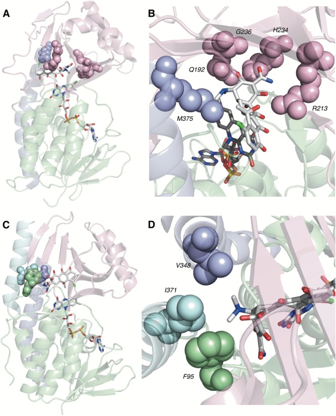 FIGURE 6