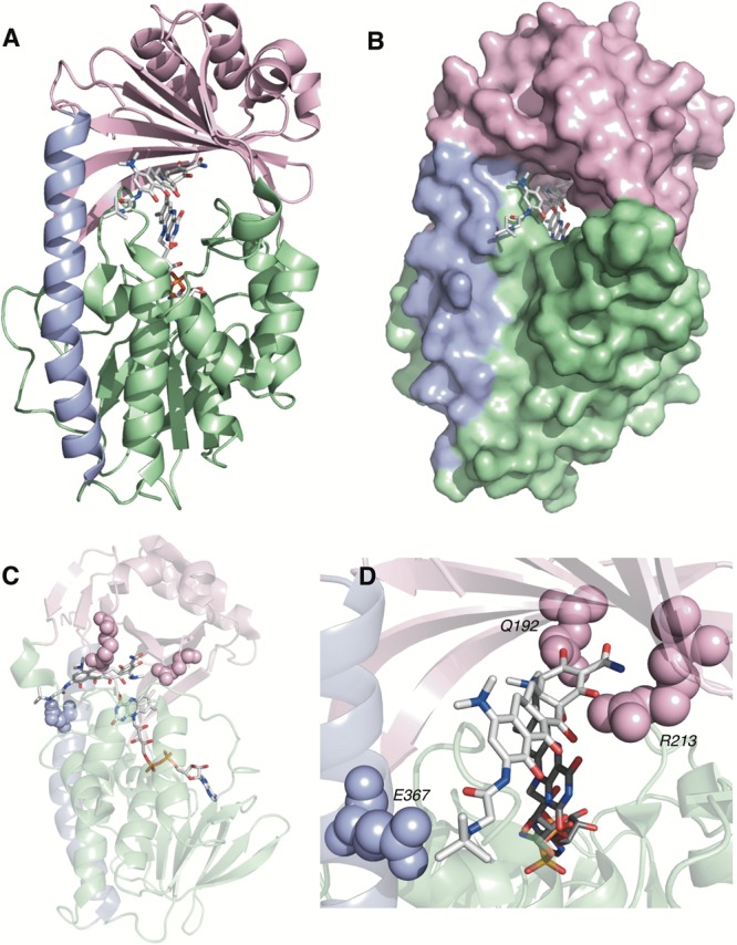 FIGURE 14