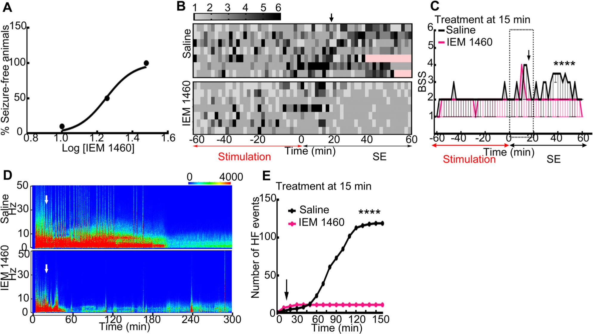 FIGURE 6: