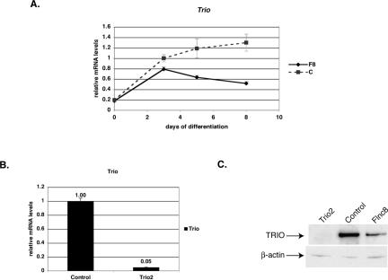 FIG. 10.