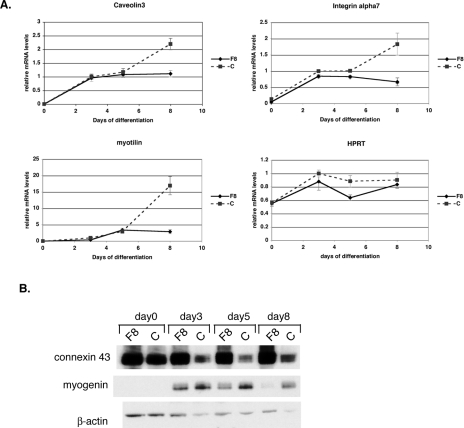 FIG. 3.