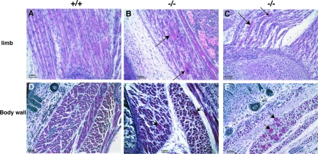 FIG. 8.