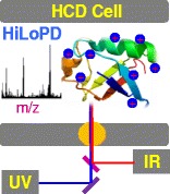 Graphical Abstract