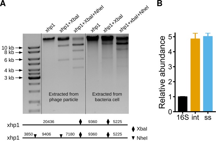 FIG 2