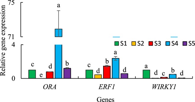 Figure 5