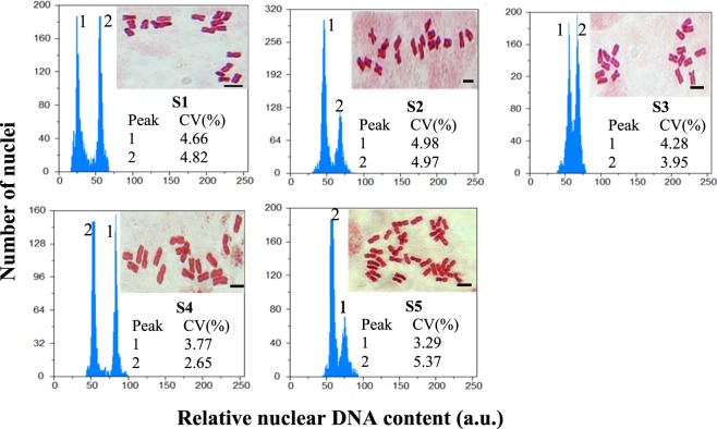 Figure 7