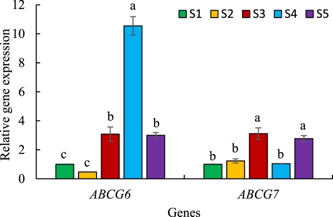 Figure 6