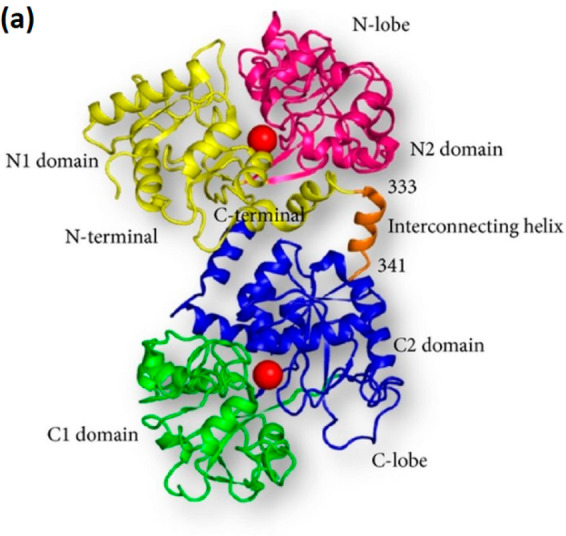 Figure 2