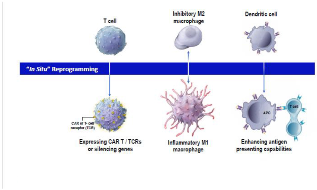 Figure 3: