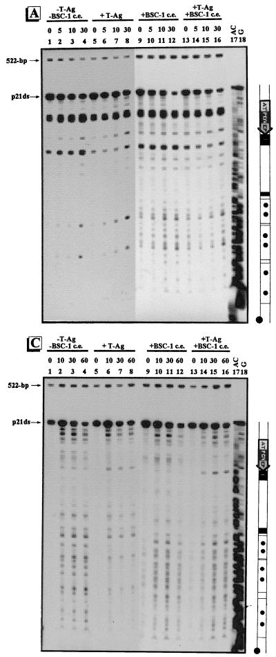 FIG. 6