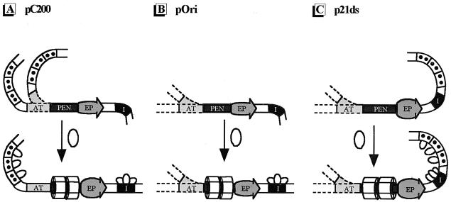 FIG. 7