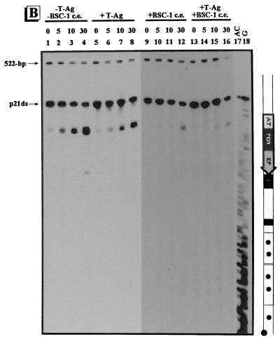 FIG. 6