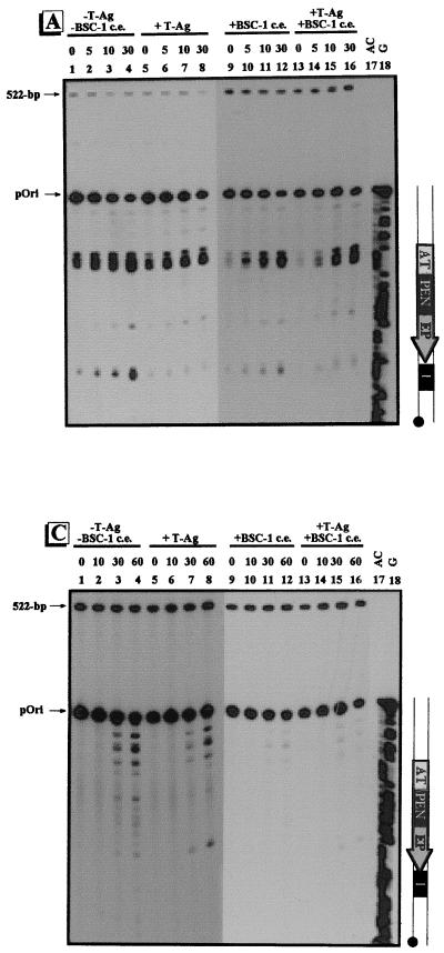 FIG. 5