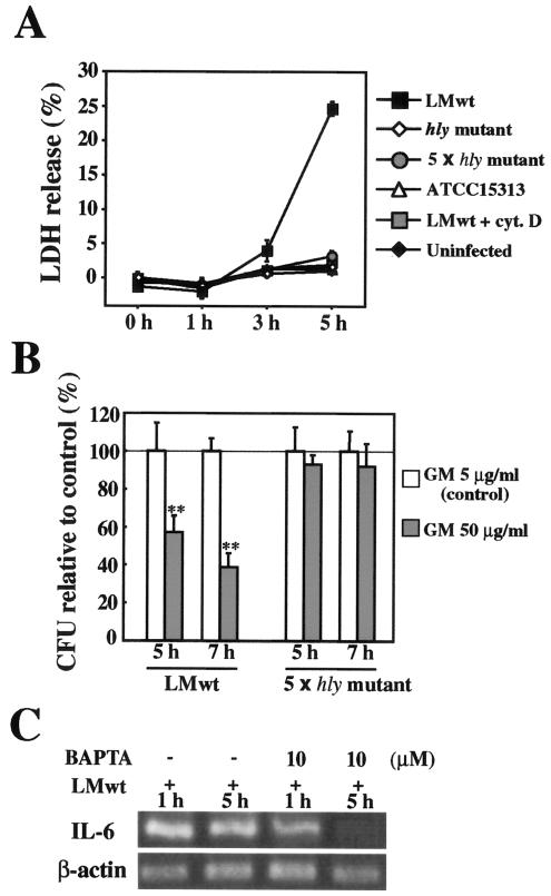 FIG. 5.