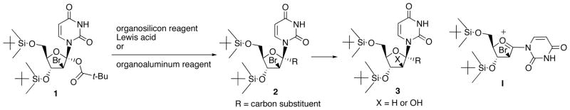 Scheme 1