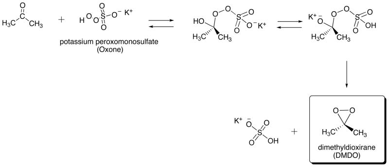 Scheme 9