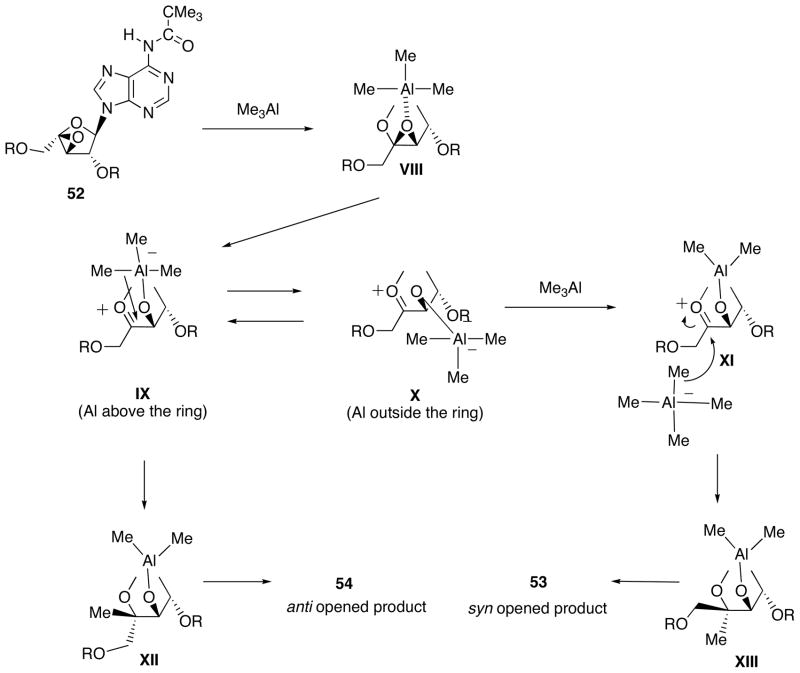 Scheme 19