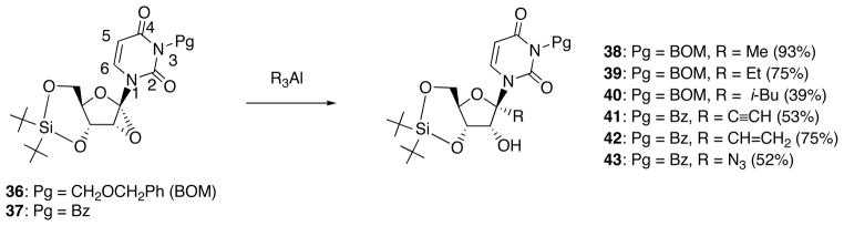 Scheme 15