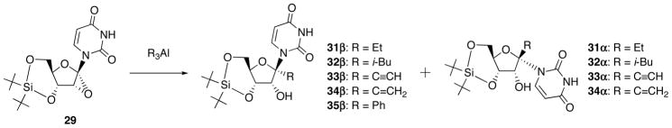 Scheme 13