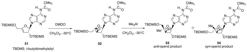 Scheme 17