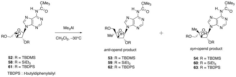 Scheme 20