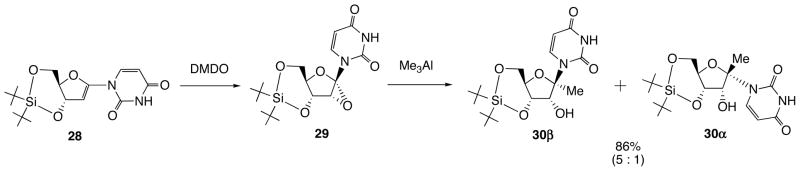 Scheme 12