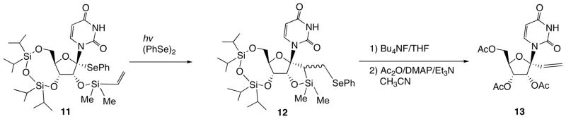 Scheme 5